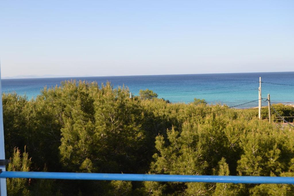 Apartamentos Cas Xurrac Ес-Кало Номер фото